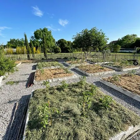 Moderne Au Calme Avec Piscine Privée Pour 6 Personnes Brignon